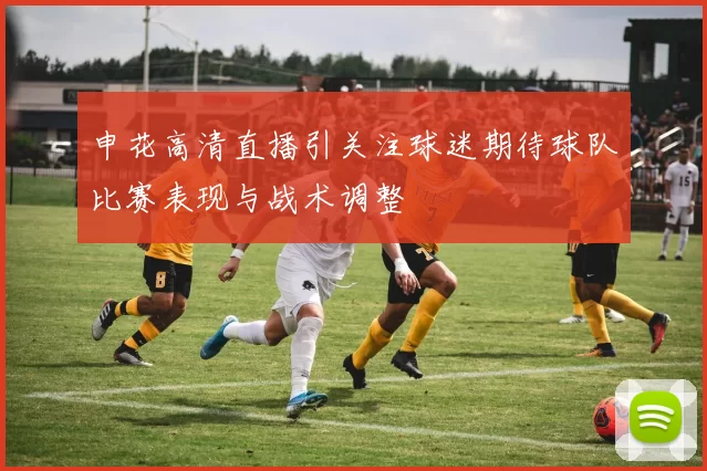 申花高清直播引关注球迷期待球队比赛表现与战术调整